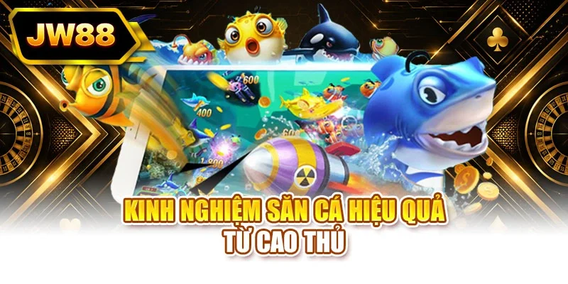 Kinh nghiệm săn cá hiệu quả từ cao thủ