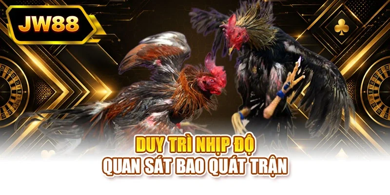 Duy trì nhịp độ quan sát bao quát trận