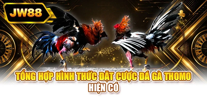 Tổng hợp hình thức đặt cược đá gà Thomo hiện có