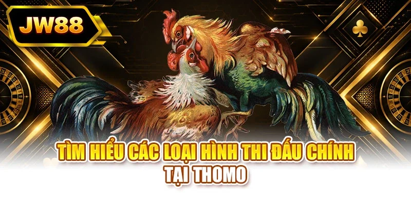 Tìm hiểu các loại hình thi đấu chính tại Thomo