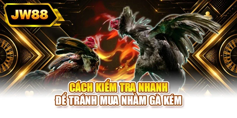 Cách kiểm tra nhanh để tránh mua nhầm gà kém