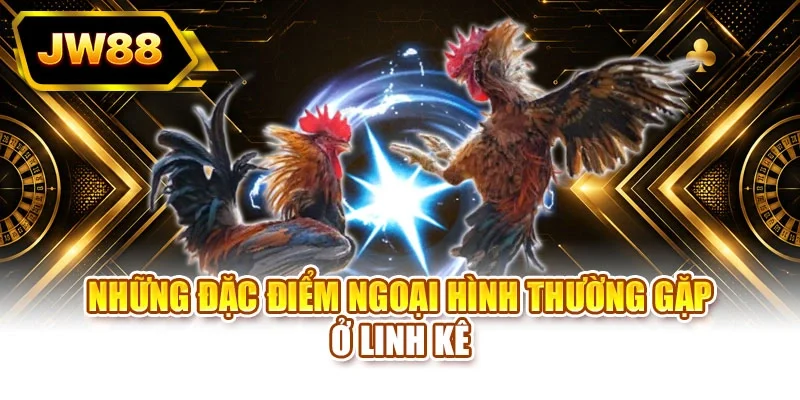 Những đặc điểm ngoại hình thường gặp ở linh kê