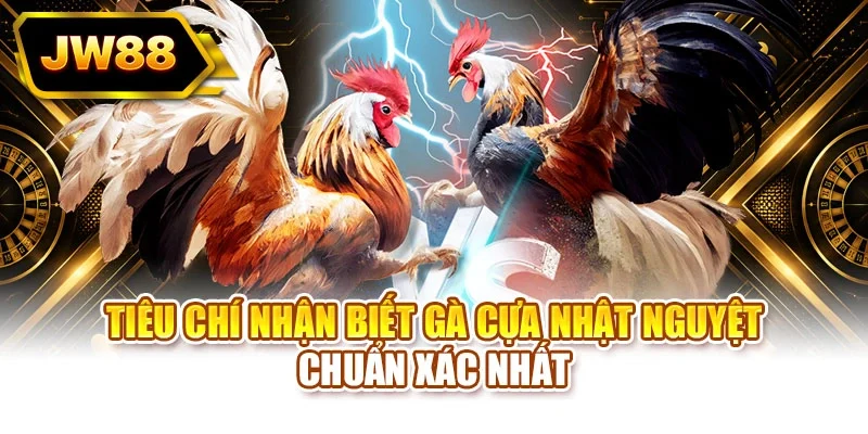 Tiêu chí nhận biết gà cựa Nhật Nguyệt chuẩn xác nhất