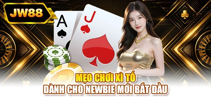 Mẹo chơi xì tố dành cho newbie mới bắt đầu