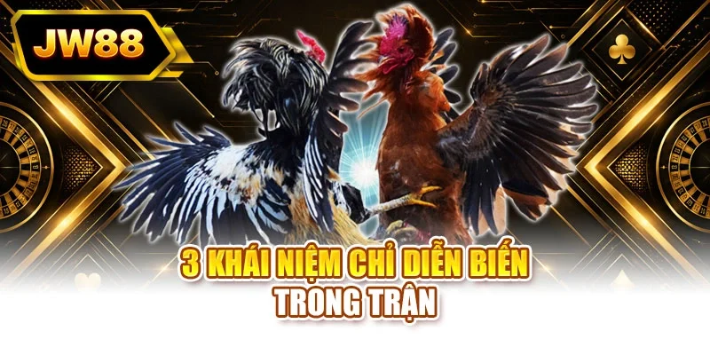 3 khái niệm chỉ diễn biến trọng trận