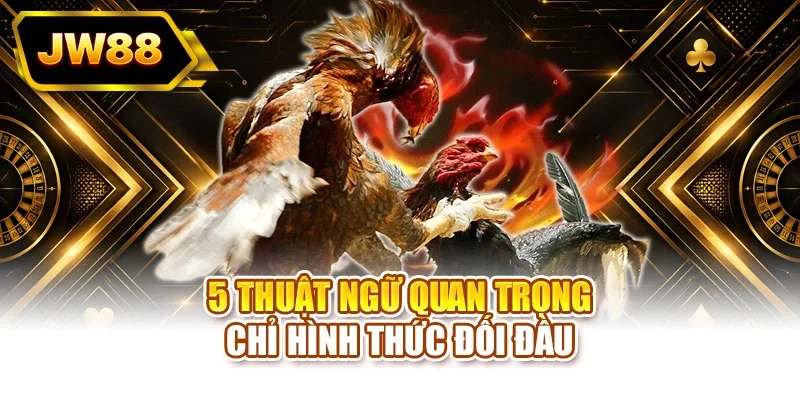 5 thuật ngữ quan trọng chỉ hình thức đối đầu