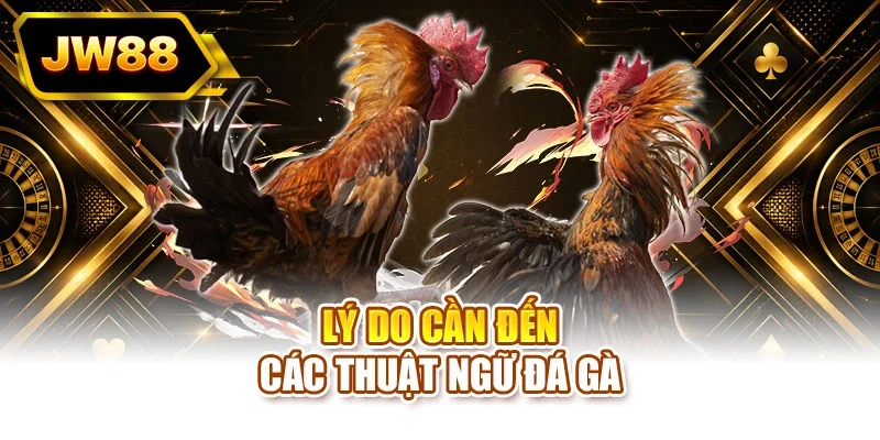 Lý do cần đến các thuật ngữ đá gà
